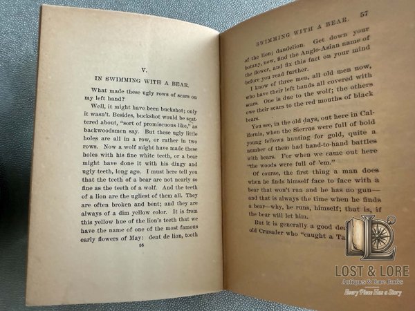 True Bear Stories — photo 5