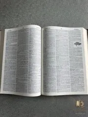 Webster’s Third & Seven Language Dictionary — Three volumes — photo 7